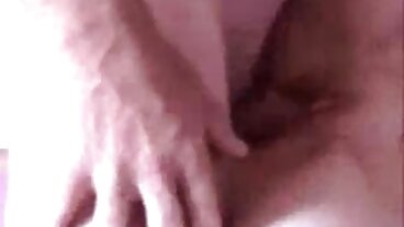 بلی کے ساتھ خوبصورت گھوںسلا کرتے ہیں